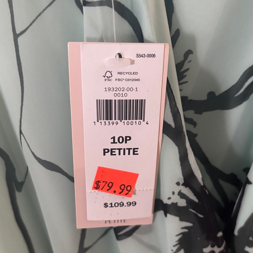 NWT Petite Banana Republic Mint and Black Ruffle Floral Maxi Dress - Picture 3 of 8